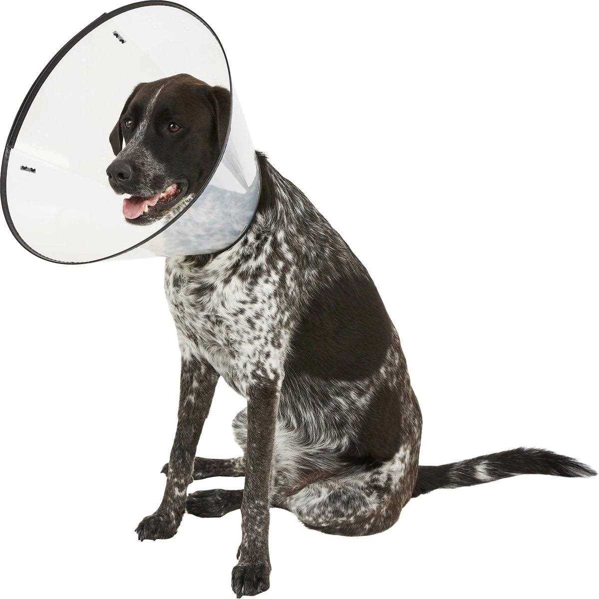 XL E-Collar C72167
