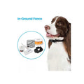 In-Ground Fence System T216