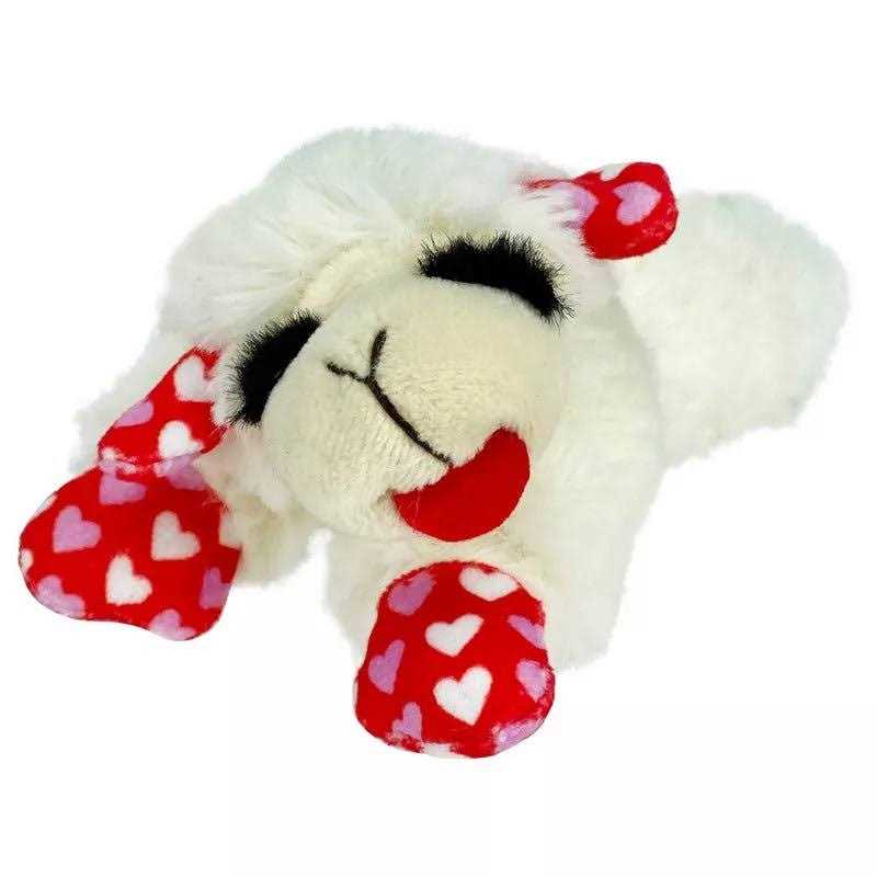 Valentine's Day Dog Toy W5501