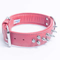 Dog Collar S375283