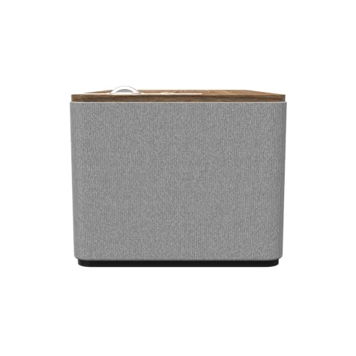 Walnut Bluetooth Speaker System W6436
