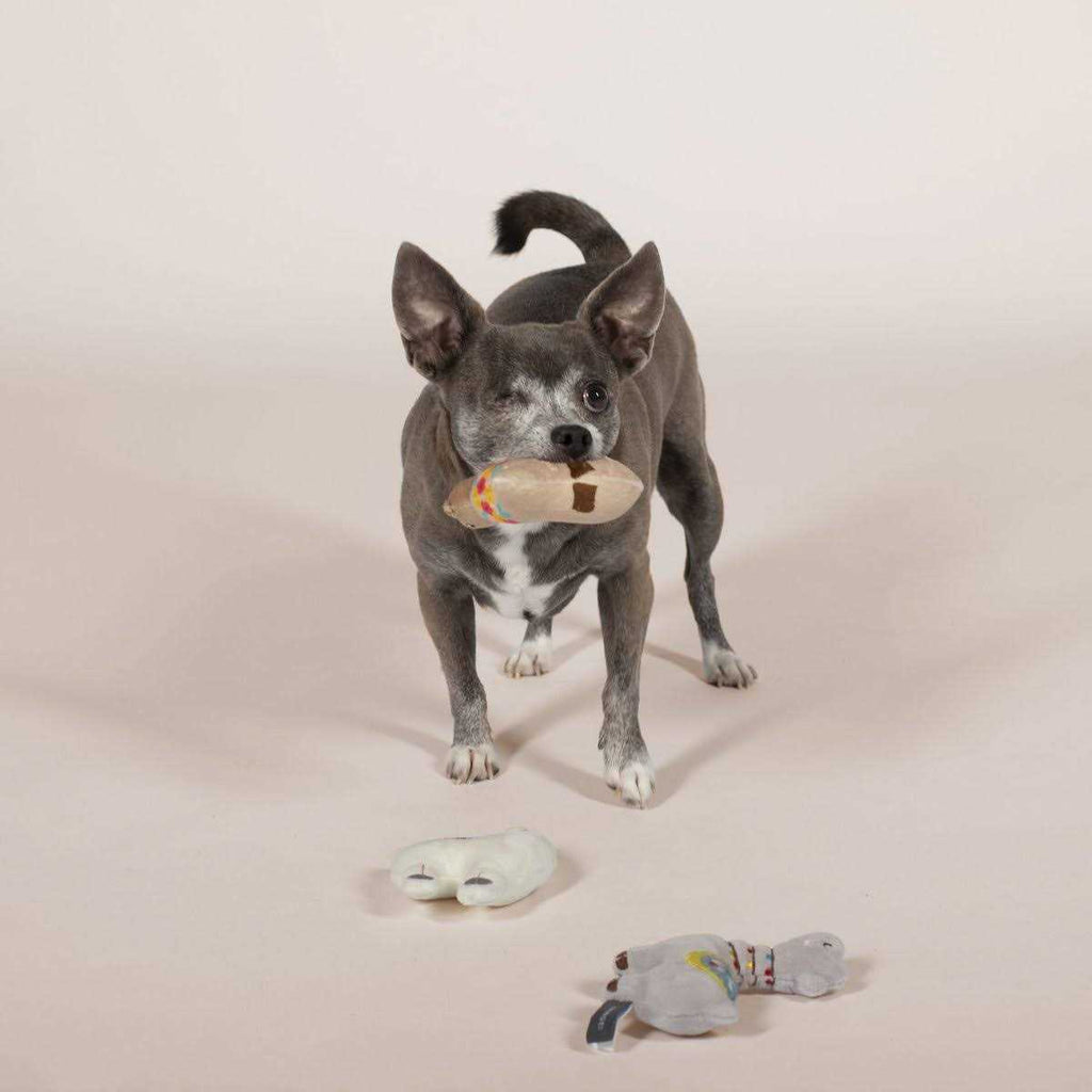 Small Dog Toy Set R72509