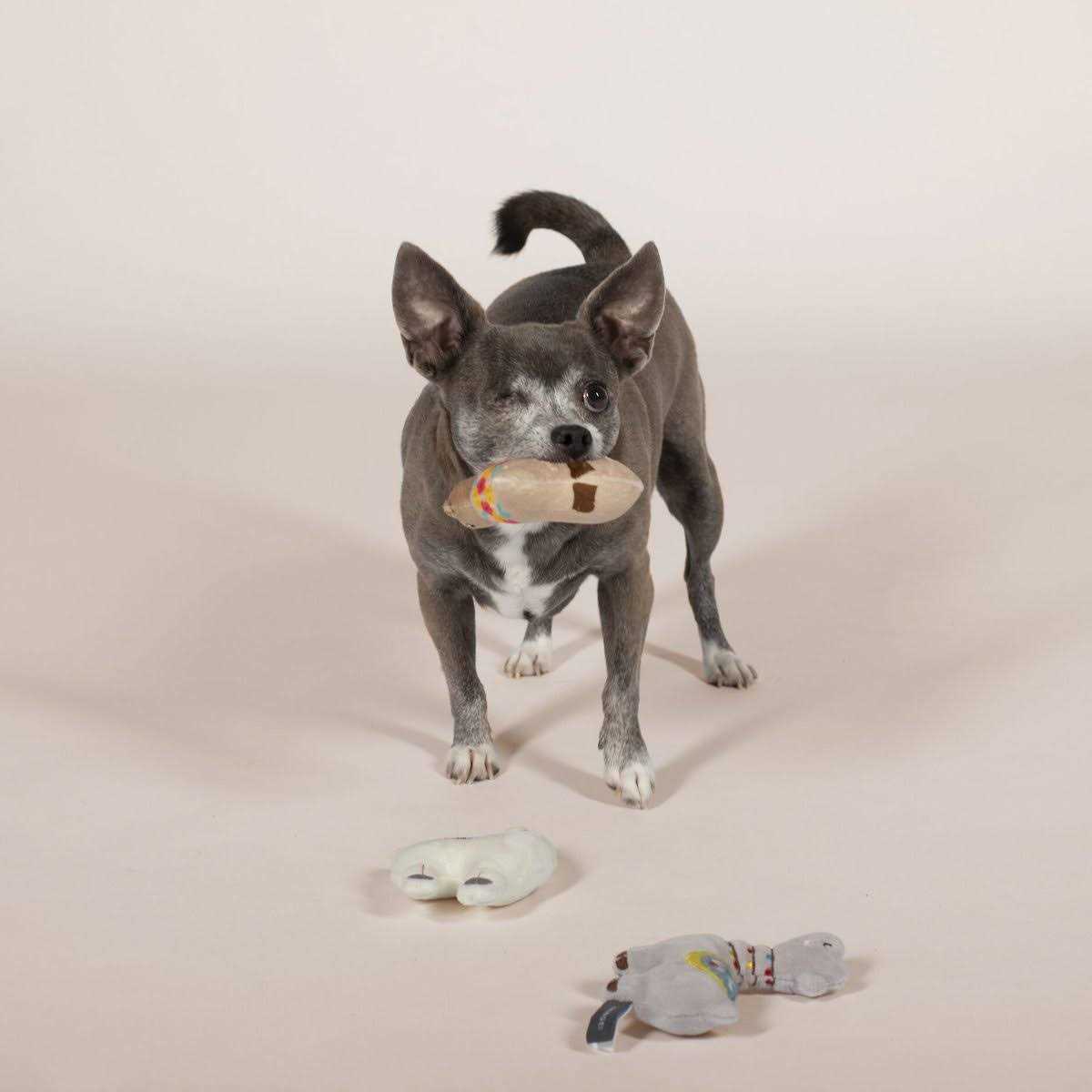 Small Dog Toy Set R72509