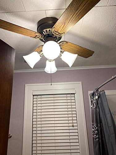 Set of 4 Clear & Frosted Glass Ceiling Fan Light Covers, 2-1/8" Fitter Size, 4-4/5" high x 5" Diameter B855