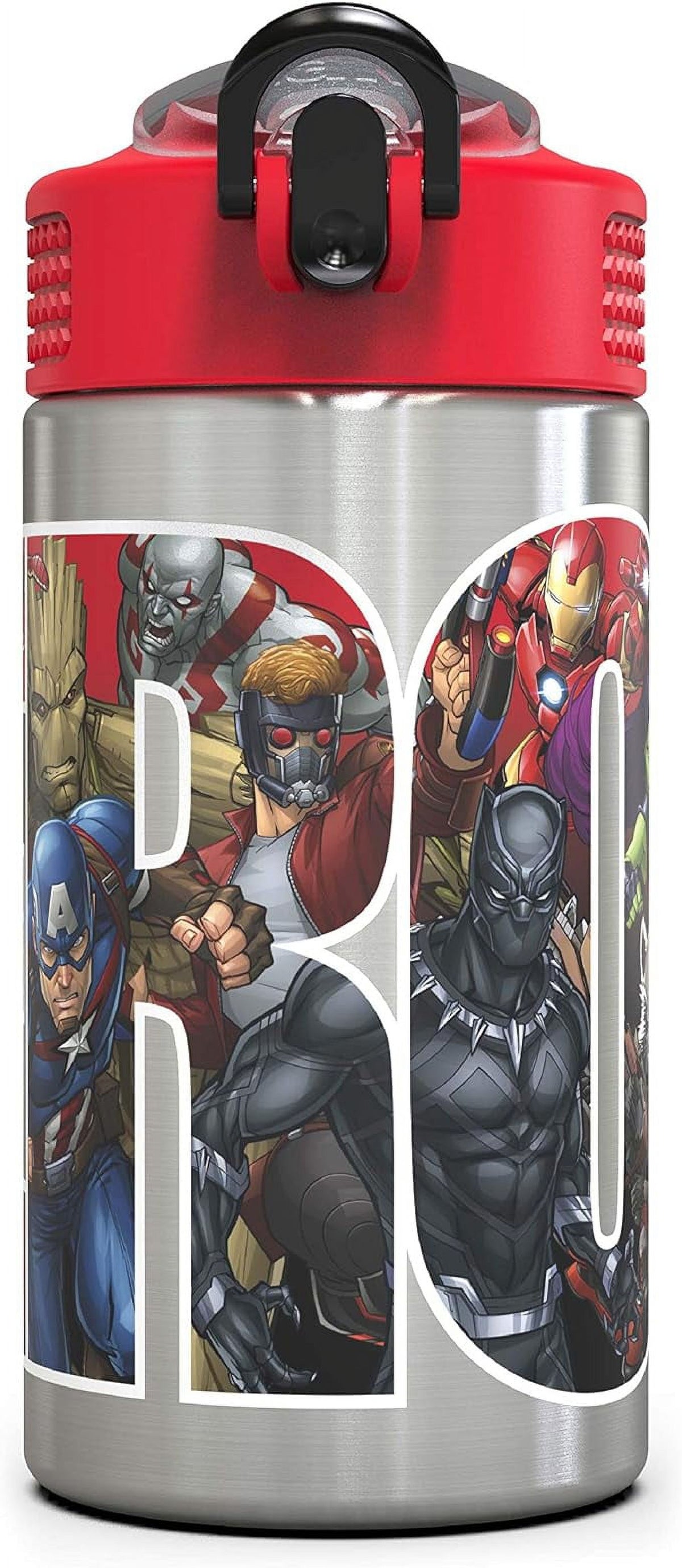 Stainless Steel Water Bottle with Straw Spout, 15.5 oz O436