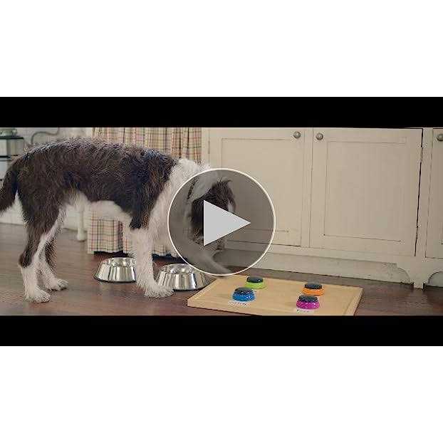 Real Chicken & Veggies Recipe Dry Dog Food L896475