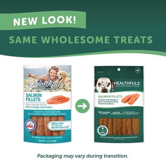 Dog Treat N4139