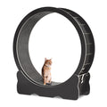 43.3 inch Cat Exercise Wheel with Detachable Carpet Q906