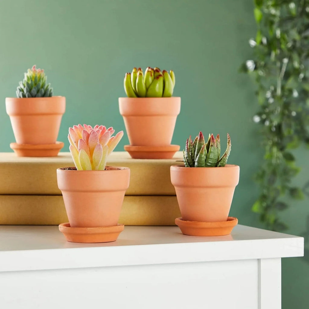 4 Pack 3 Inch Terracotta Pots with Saucer W226