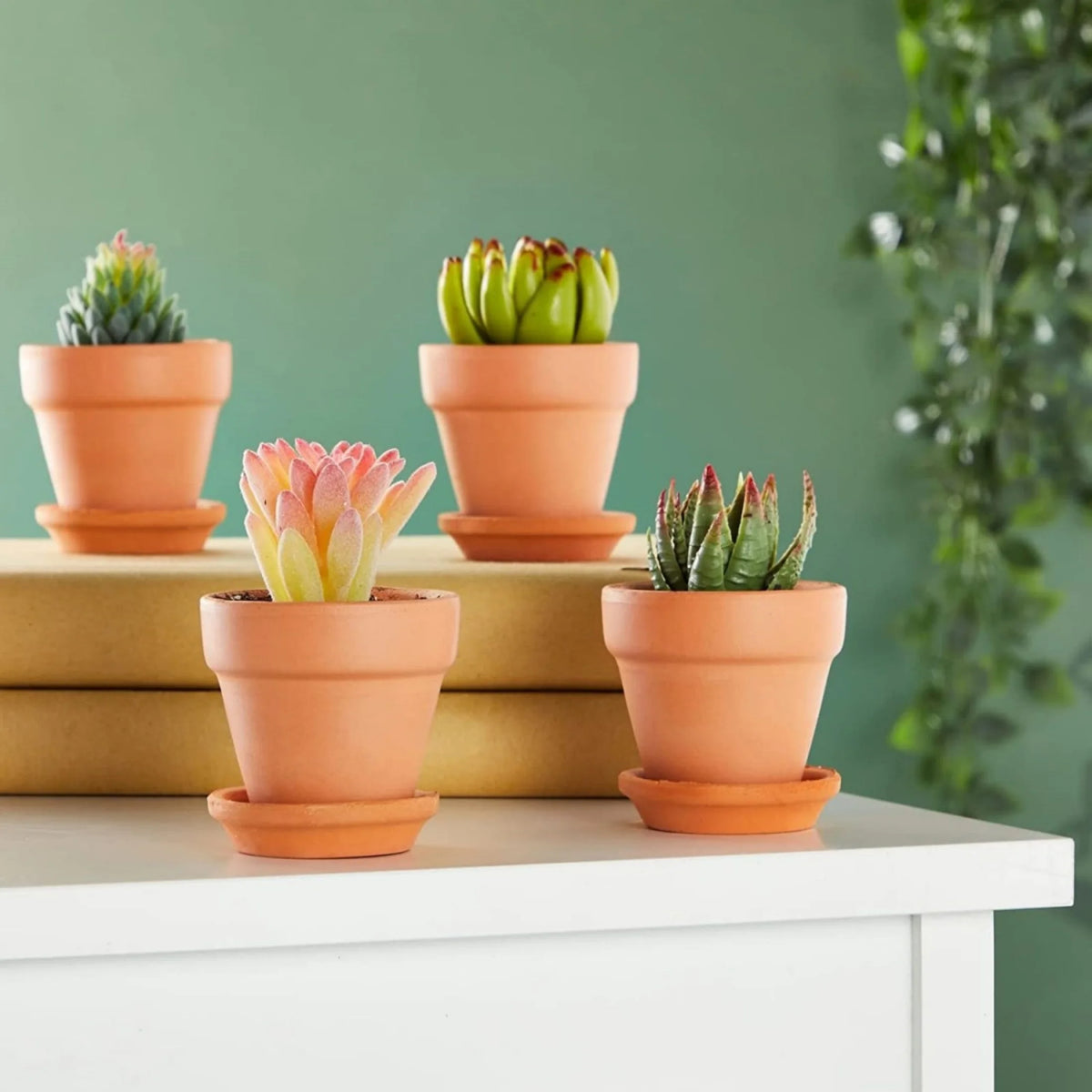 4 Pack 3 Inch Terracotta Pots with Saucer W226