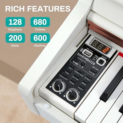 88 Key Weighted Hammer Action Digital Piano with Triple Pedal O5761