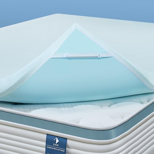 3 Inch Queen Memory Foam Mattress Topper White N35174