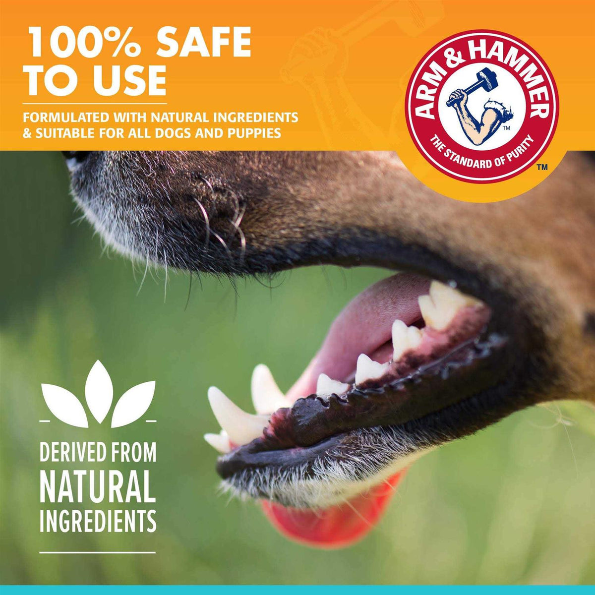 Fresh Breath Dental Spray for Dogs U662942