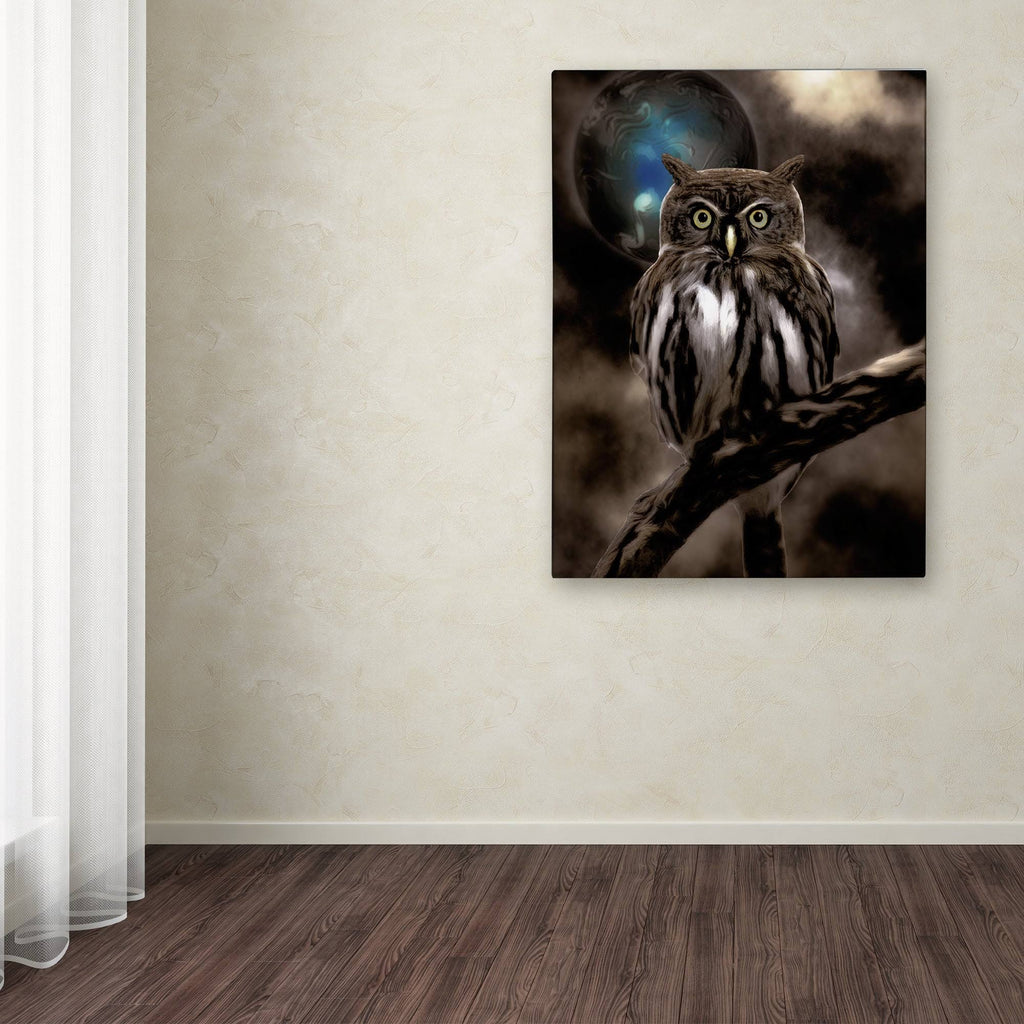 Night Owl Canvas Art R798532