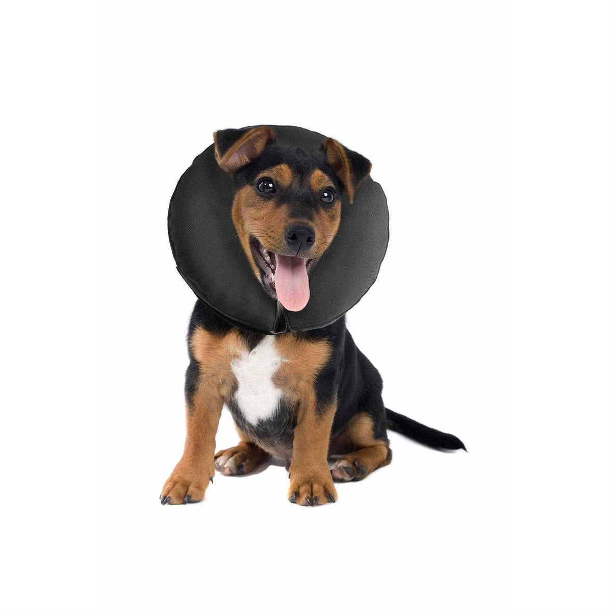 Inflatable Recovery Collar N396