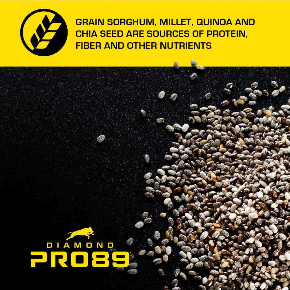 Beef Pork & Ancient Grains Formula Adult Dog Food J5668