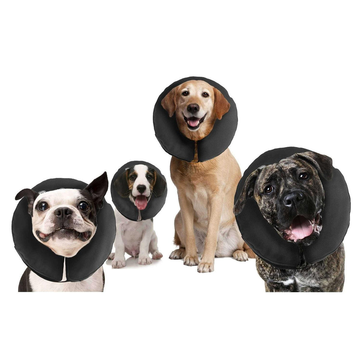 Inflatable Recovery Collar N396