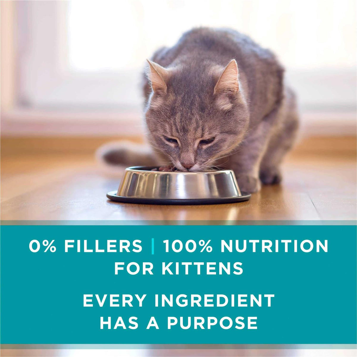 Grain Free Chicken & Salmon Pate Wet Cat Food C76690