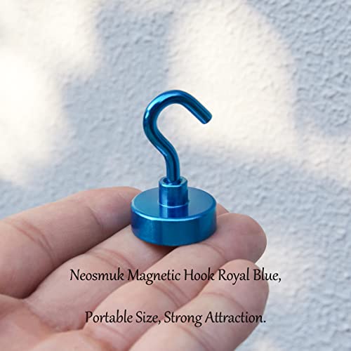 Magnetic Hooks 30lb Heavy Duty with Hook Pack of 10 E37912