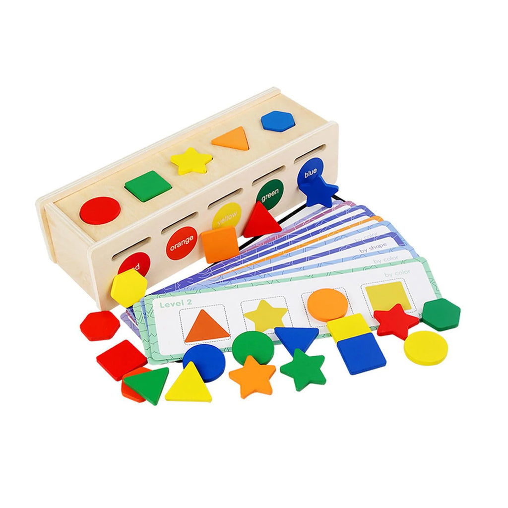Montessori Geometric Matching Blocks Activity Toy G8693