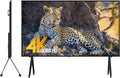 100 Inch 4K UHD Smart TV L665