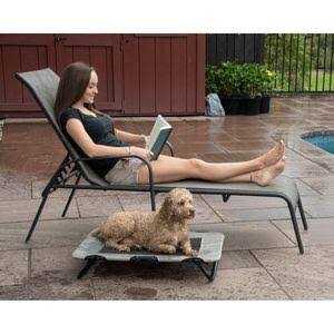 Elevated Pet Cot H307
