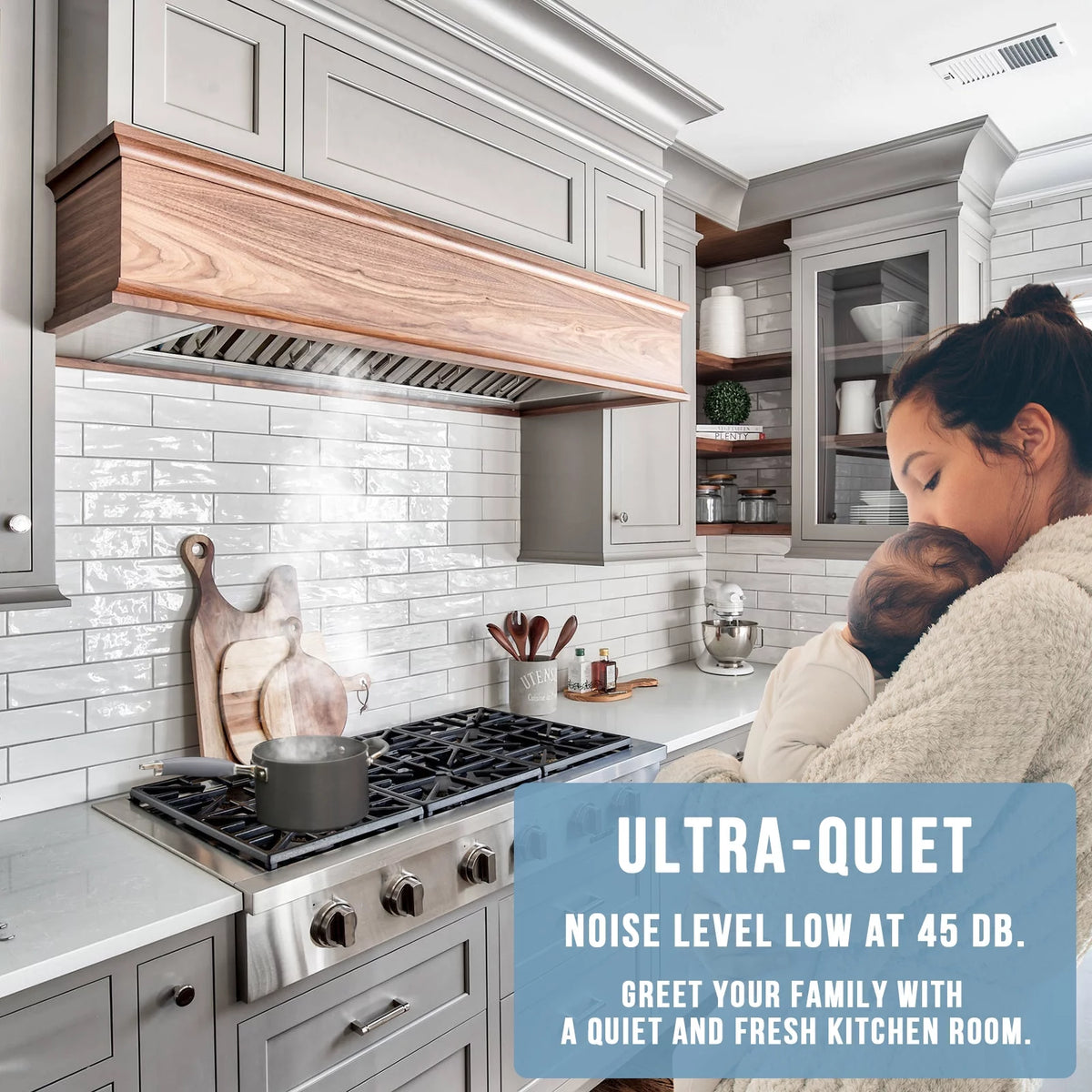 30 Inch Stainless Steel Ducted Insert Range Hood E424