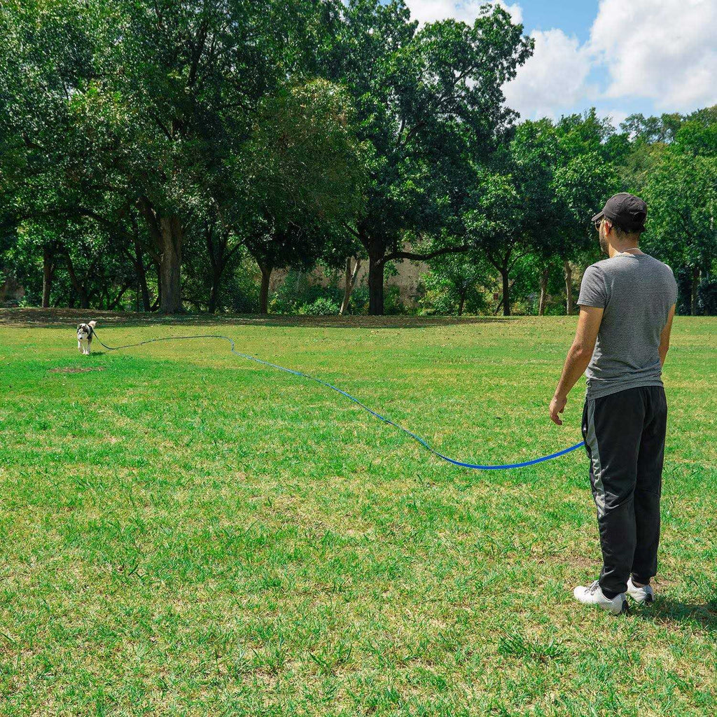 Dog Puppy Training Lead Leash S1300