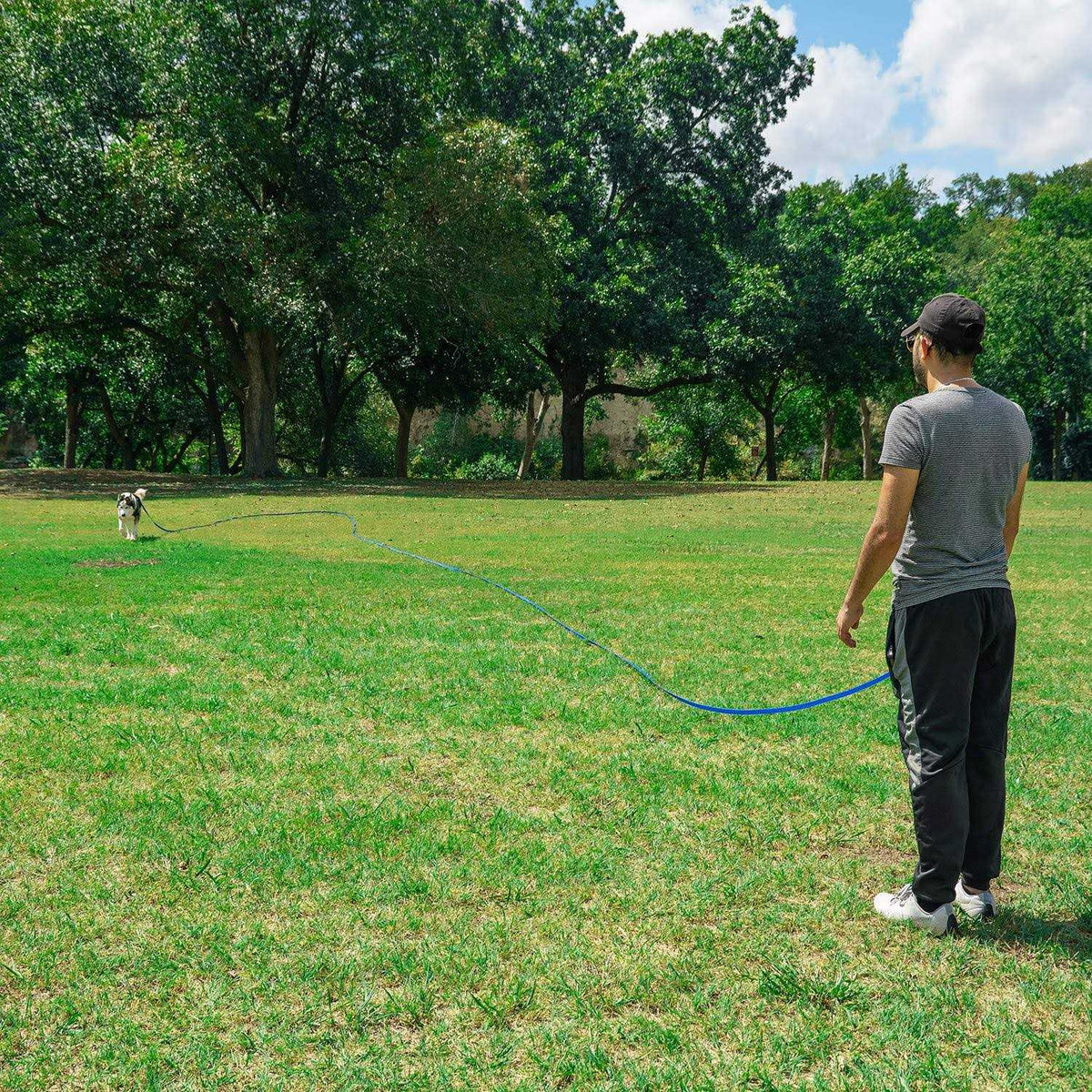 Dog Puppy Training Lead Leash S1300