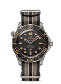 Diver 300m 42mm V667196