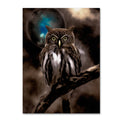 Night Owl Canvas Art R798532