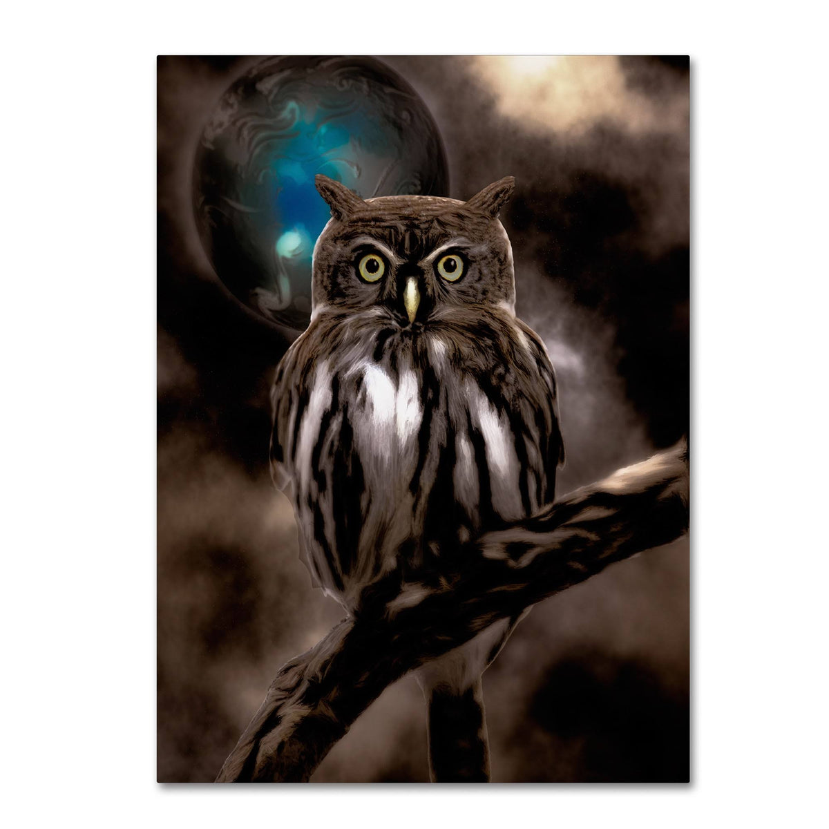 Night Owl Canvas Art R798532