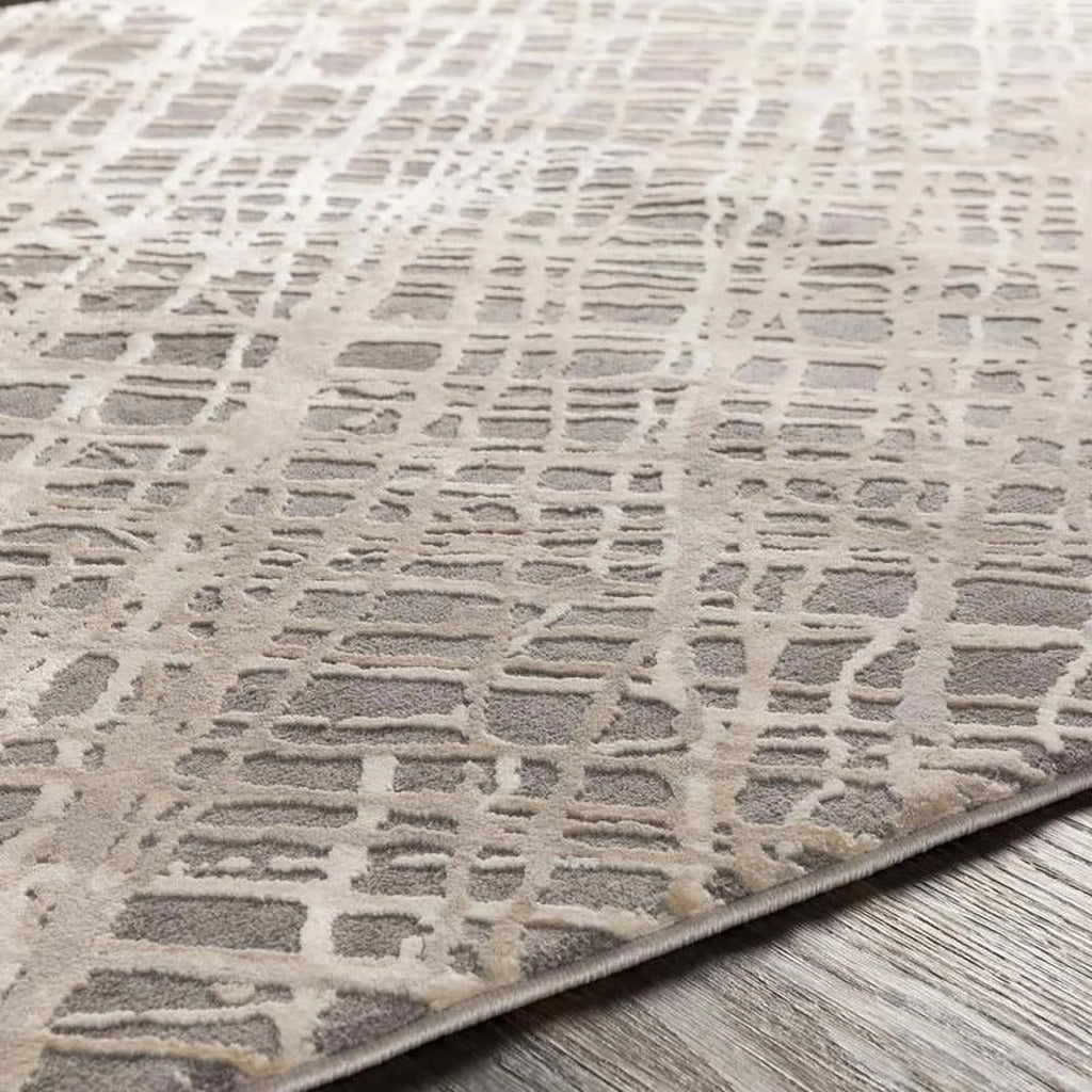5x7 Medium Gray Area Rug K8932