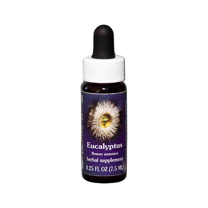 Eucalyptus Flower Essence 7.5ml P2000