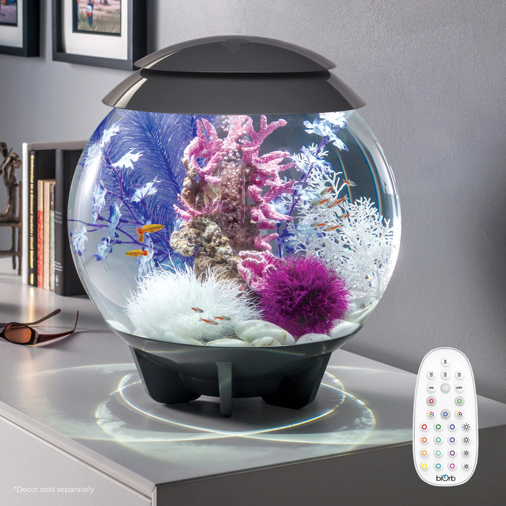 8 gallon Aquarium with MCR Light N99857