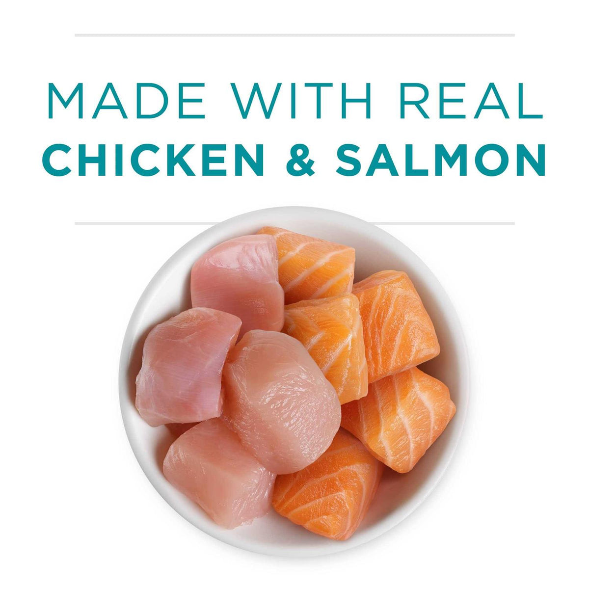 Grain Free Chicken & Salmon Pate Wet Cat Food C76690