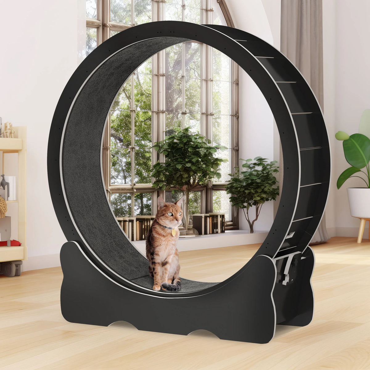 43.3 inch Cat Exercise Wheel with Detachable Carpet Q906
