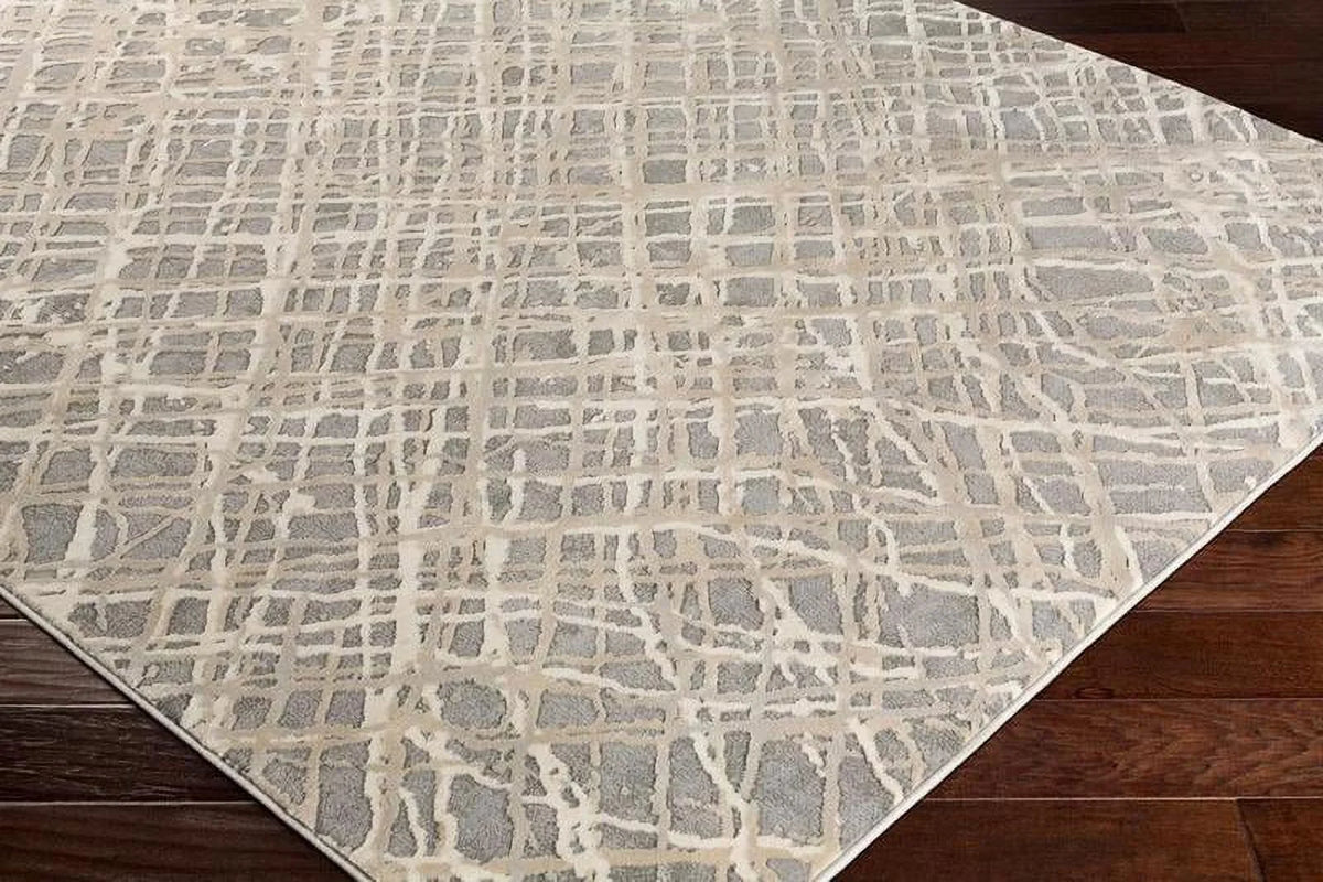 5x7 Medium Gray Area Rug K8932