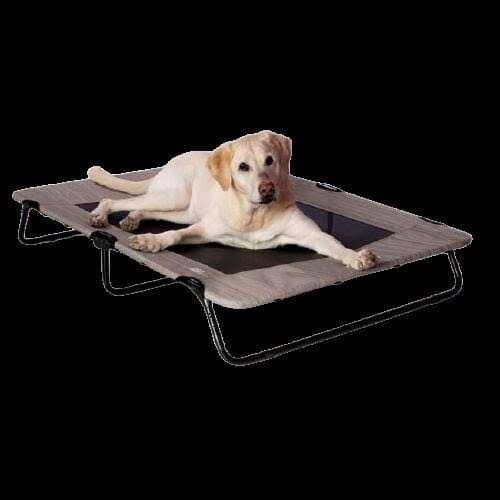 Elevated Pet Cot H307