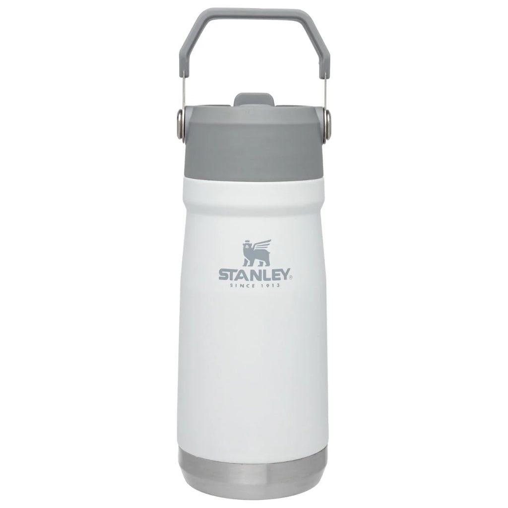 Iceflow Flip Straw Water Bottle W2060