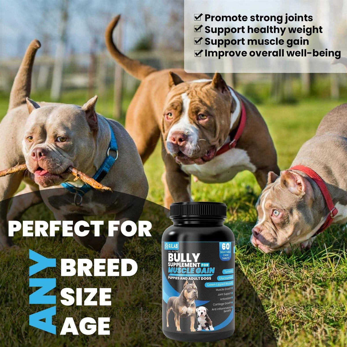 Dog Weight Gainer Muscle Builder Supplement R86767