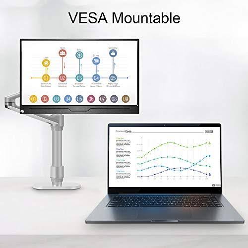 15.6 inch IPS HDR 1920x1080 FHD USB C Gaming Monitor T557