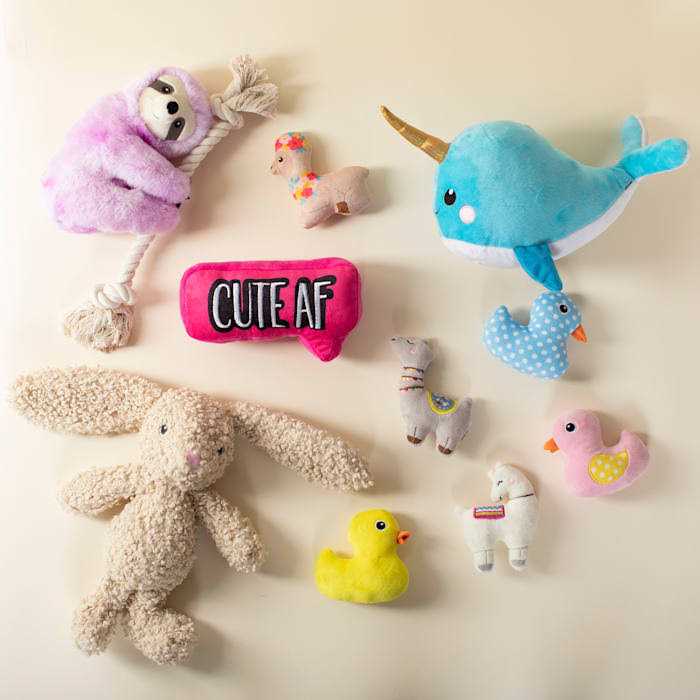 Small Dog Toy Set R72509