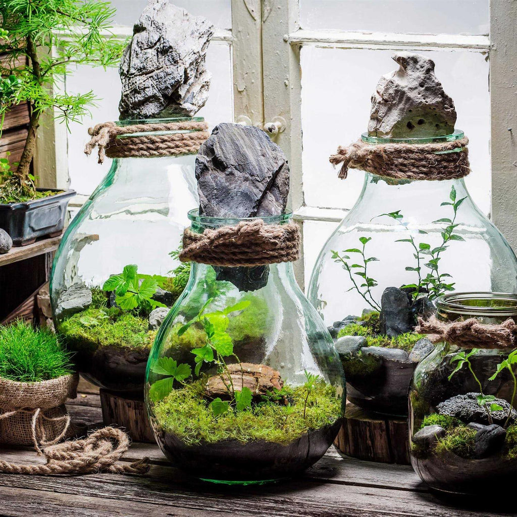Terrarium Potting Soil Mix with Charcoal S5141