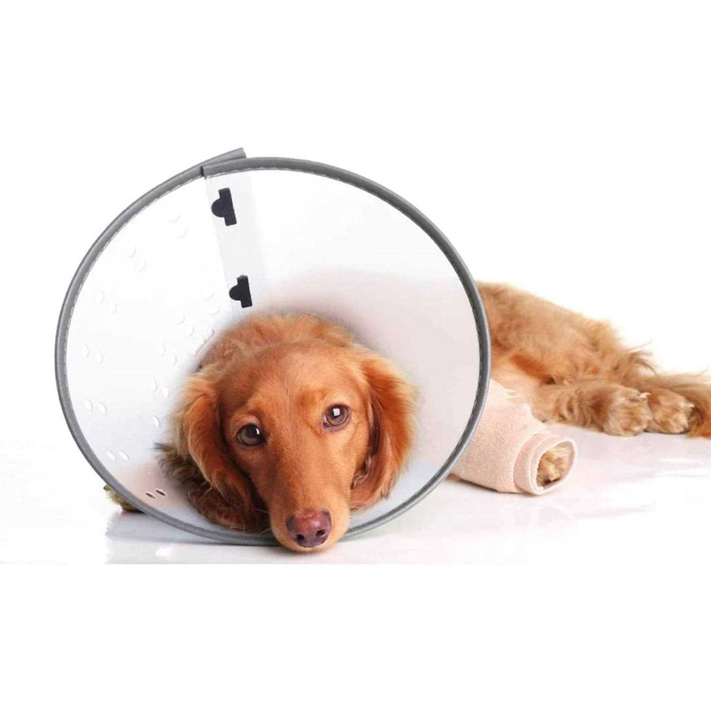 XL E-Collar C72167