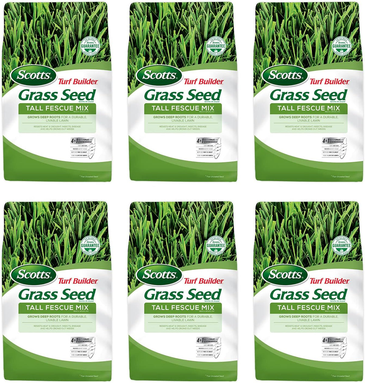Tall Fescue Grass Seed Mix, 20 lb. Pack of 2 W8410
