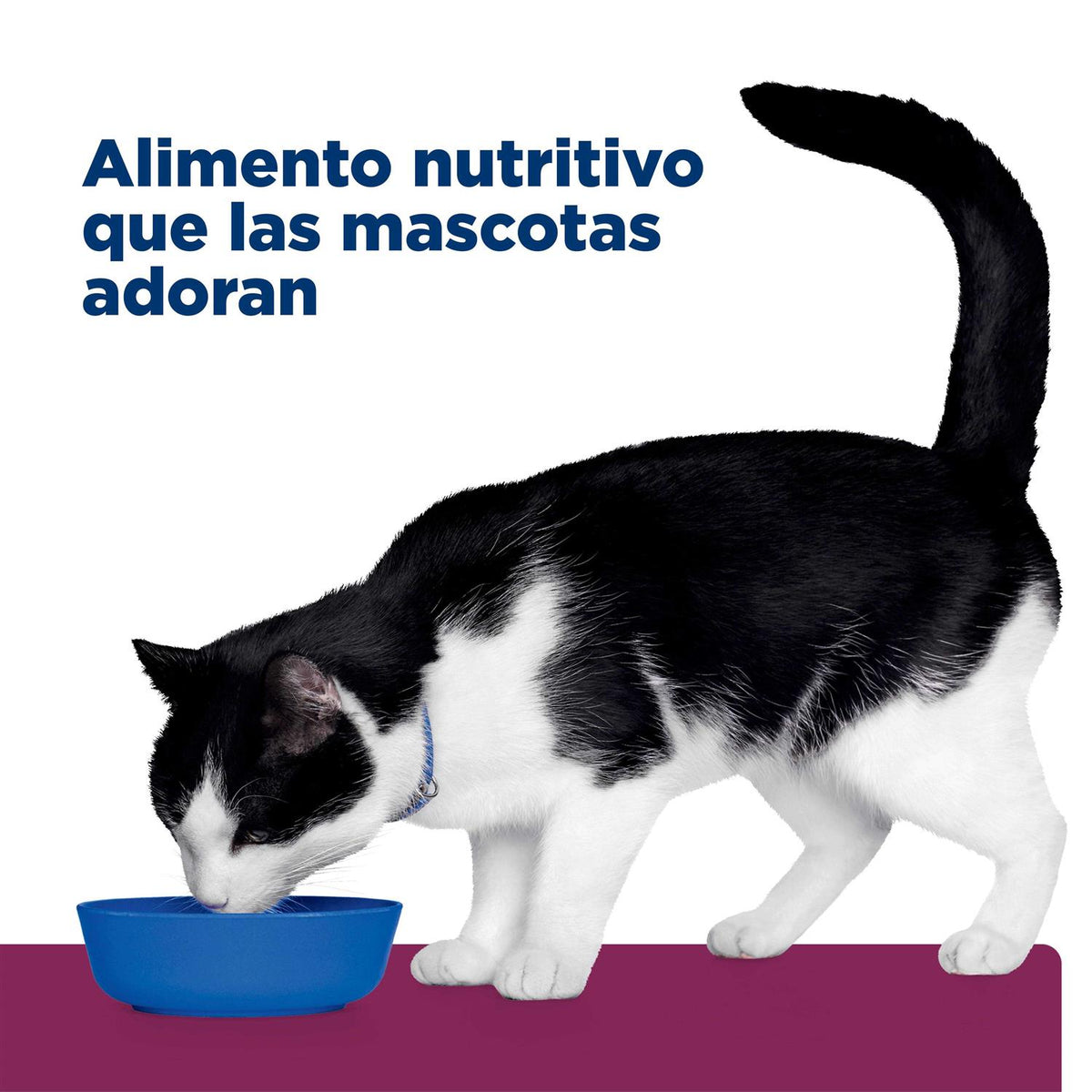 Gastrointestinal Health Dry Cat Food L40293
