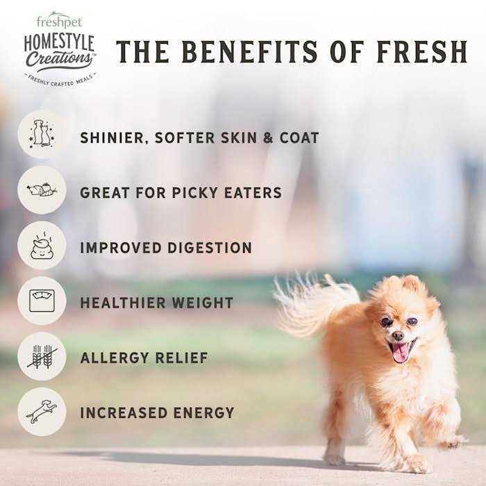 Chicken Patties Adult Wet Dog Food V5196