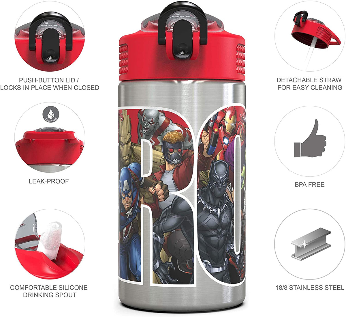 Stainless Steel Water Bottle with Straw Spout, 15.5 oz O436
