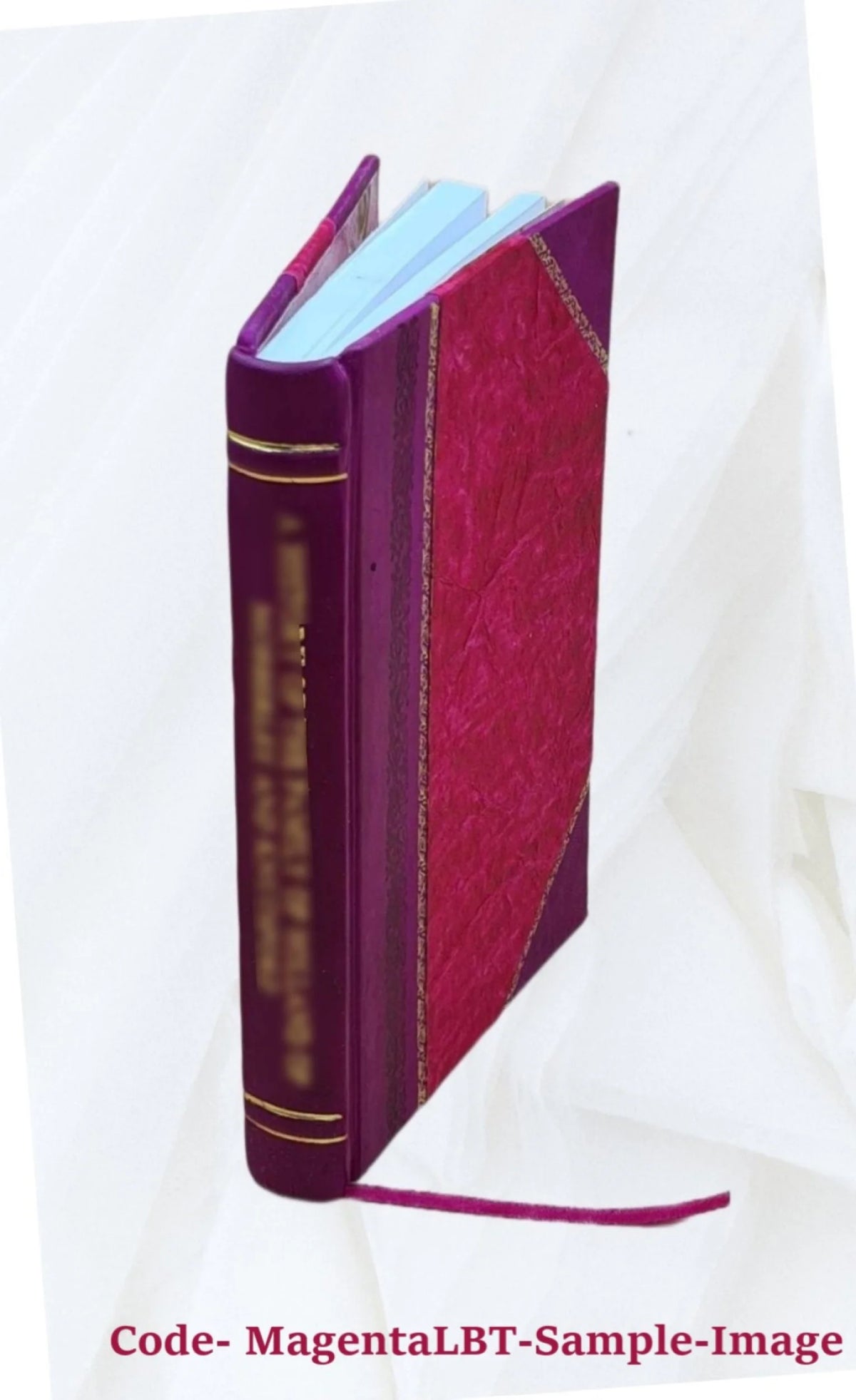 Description d'une sonde de mer ou bathomètre L91133